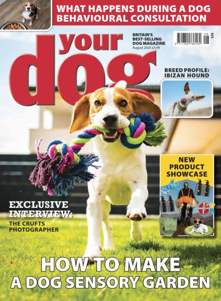 Your Dog – August 2025