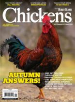 Chickens – September-October 2025