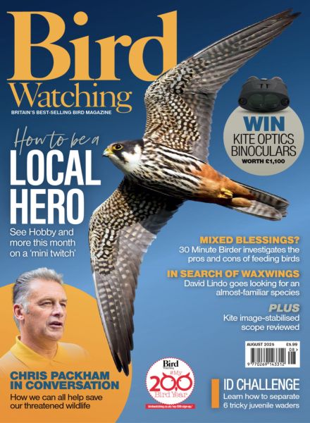 Bird Watching UK – August 2025