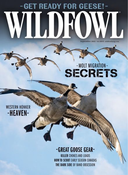 Wildfowl – September 2025