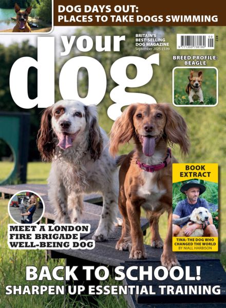 Your Dog – September 2025