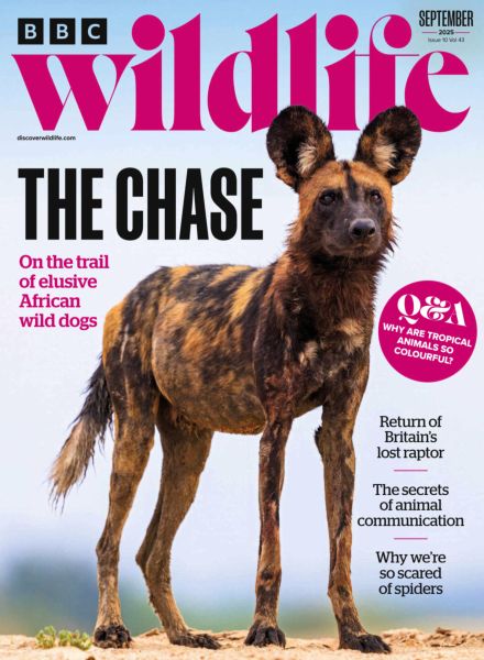 BBC Wildlife – September 2025