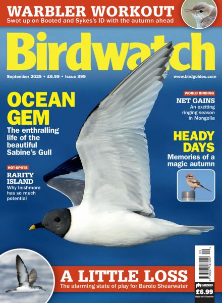 Birdwatch UK – September 2025