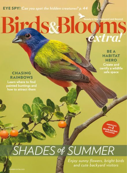 Birds and Blooms Extra – Summer 2025
