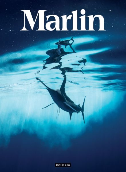 Marlin – September-October 2025