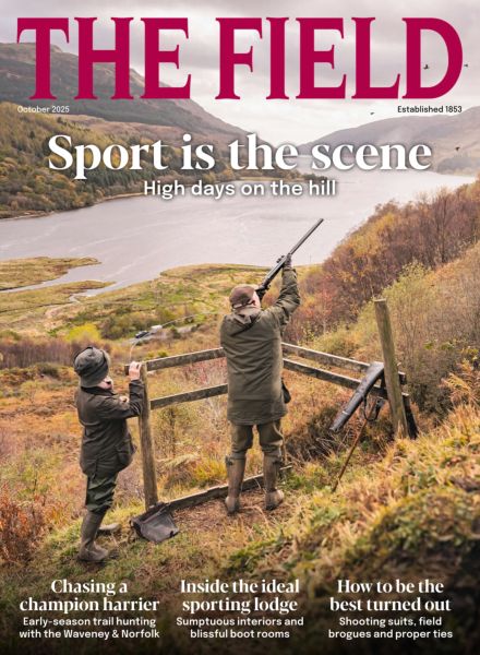 The Field – October 2025