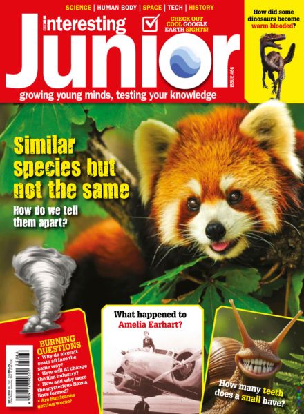 Very Interesting Junior – Issue 66 August 2025