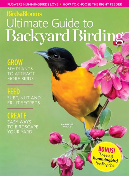 Birds & Blooms – Ultimate Guide to Backyard Birding 2025