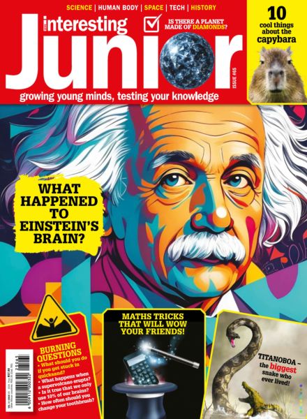 Very Interesting Junior – Issue 65 June 2025