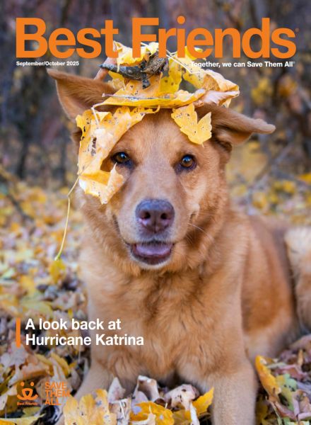 Best Friends – September-October 2025