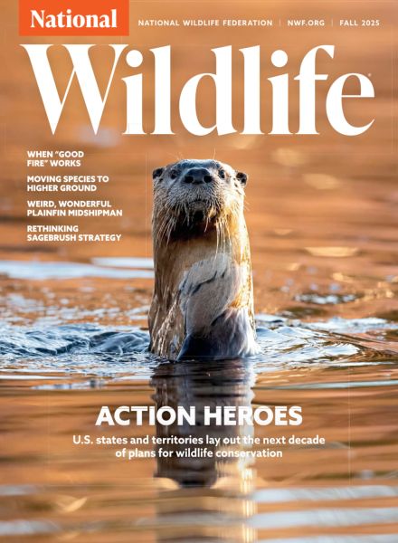 National Wildlife – Fall 2025