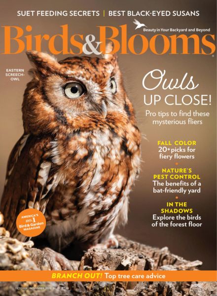 Birds & Blooms – October-November 2025