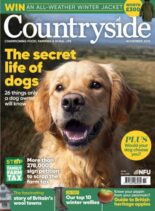 Countryside – November 2025
