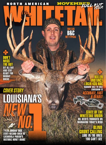 North American Whitetail – November 2025