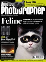 Amateur Photographer – 28 October 2025
