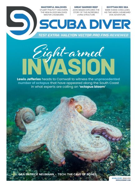 Scuba Diver – October 2025