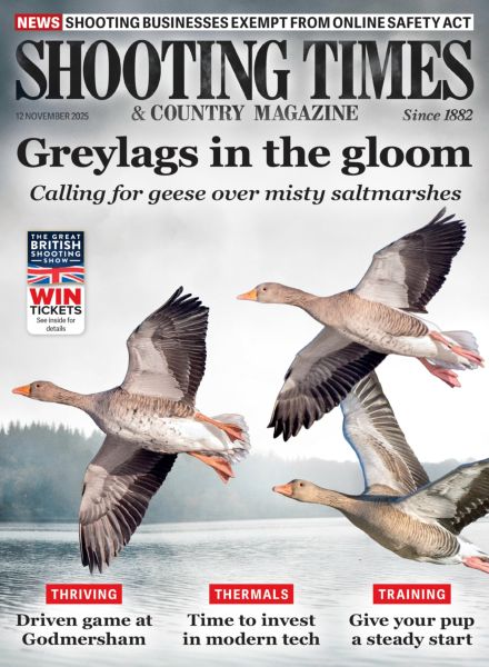 Shooting Times & Country – 12 November 2025