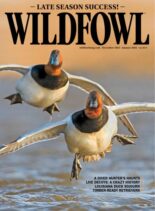 Wildfowl – December 2025 – January 2026
