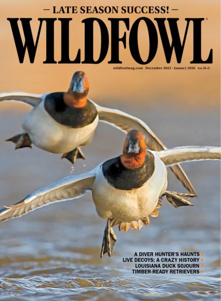 Wildfowl – December 2025 – January 2026