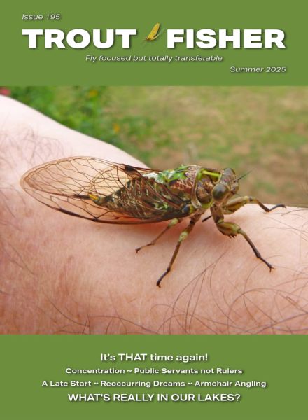 Trout Fisher – Summer 2025