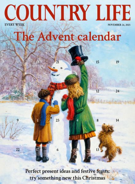 Country Life UK – November 26 2025