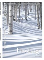 Professional Photographer – December 2025
