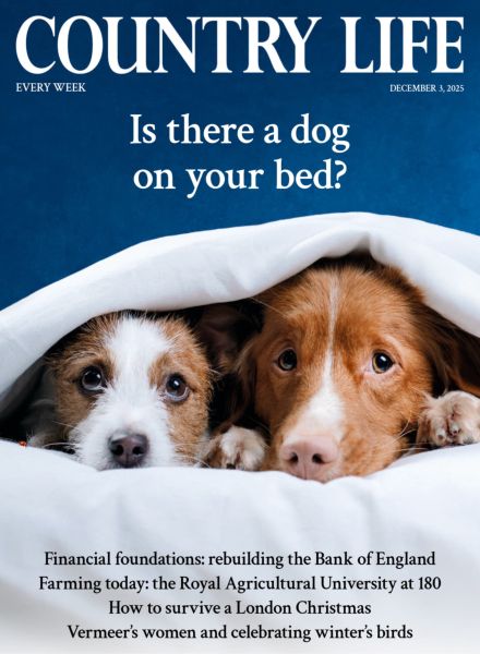 Country Life UK – December 3 2025