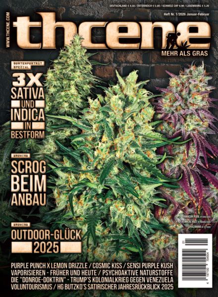 Thcene – Januar-Februar 2026