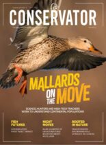 Conservator – Fall 2025