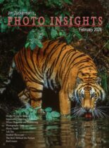 Photo Insights – February 2026