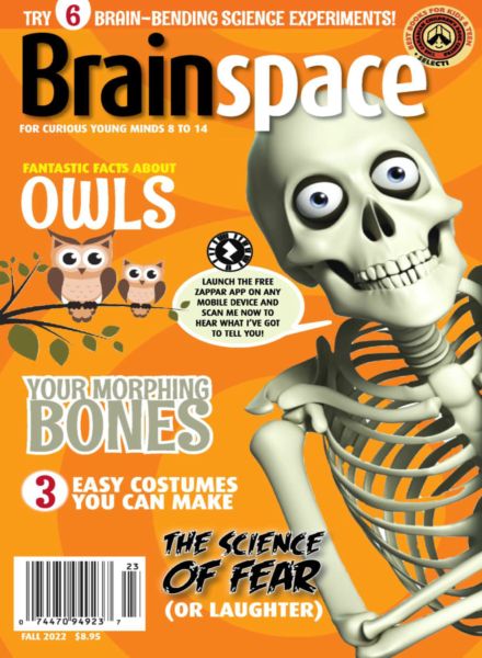 Brainspace – Fall 2022