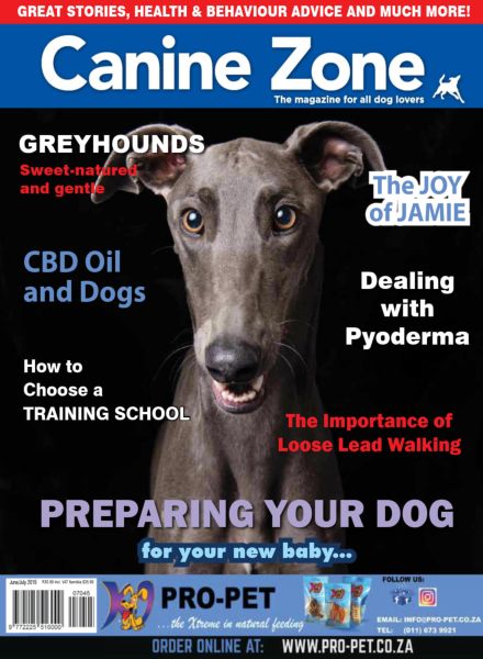 Canine Zone – June-July 2019
