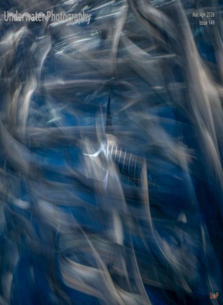 Underwater Photography – March-April 2026