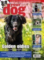 Your Dog – April 2026