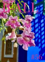 B-ALL UK – March-May 2026