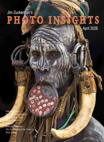 Photo Insights – April 2026
