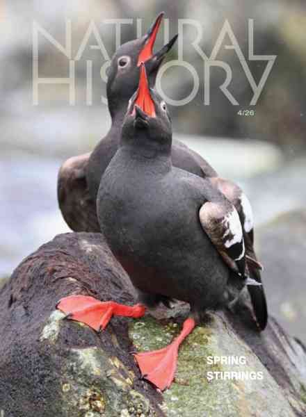Natural History – April 2026