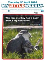 My Little Weekly – 10 Avril 2026