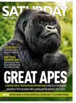 Daily Express Saturday Magazine – 11 April 2026
