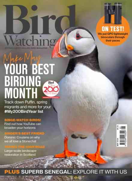 Bird Watching UK – May 2026