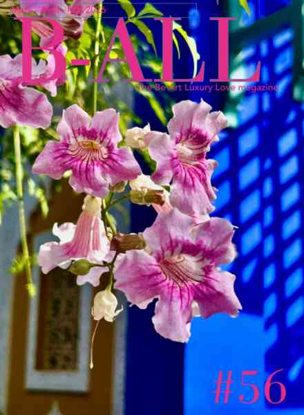 B-ALL Magazine – Mars-Mai 2026