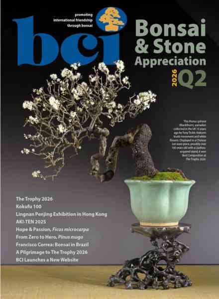 BCI Bonsai & Stone Appreciation Magazine – Volume 65 Number 2 2026
