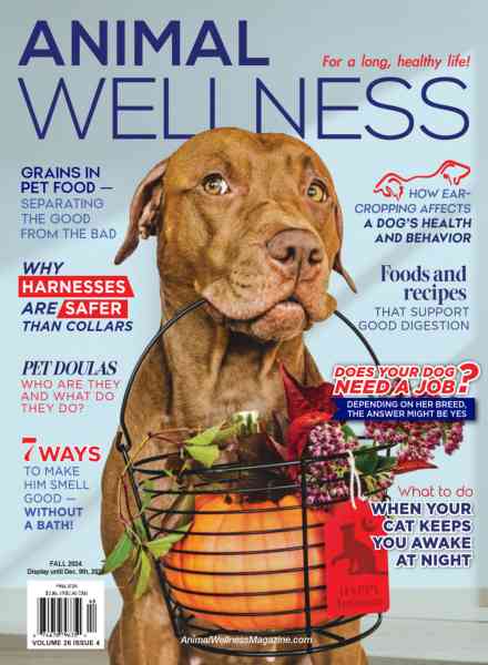 Animal Wellness – Fall 2024