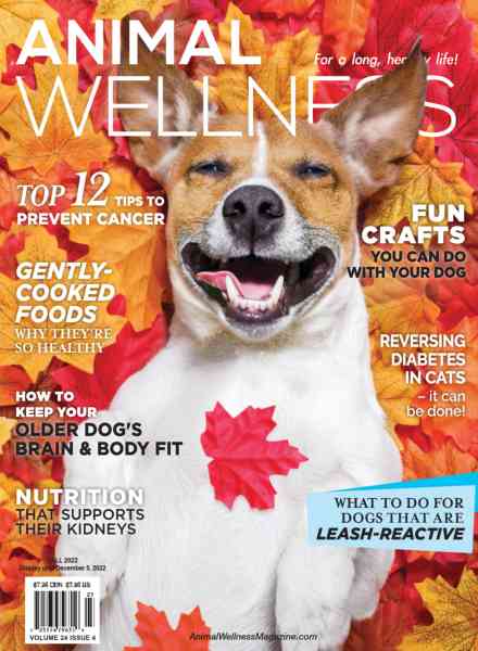 Animal Wellness – Fall 2022