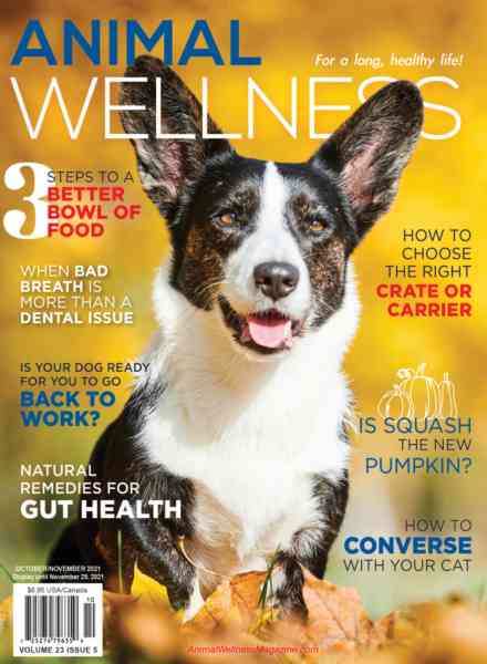 Animal Wellness – October-November 2021