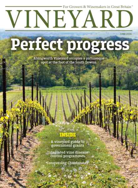 Vineyard – June 2026