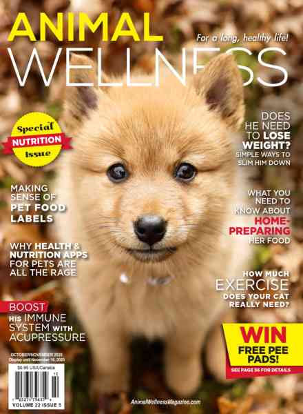 Animal Wellness – October-November 2020