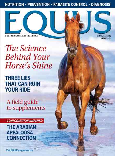 Equus – Summer 2026
