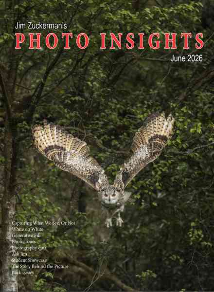 Photo Insights – June 2026
