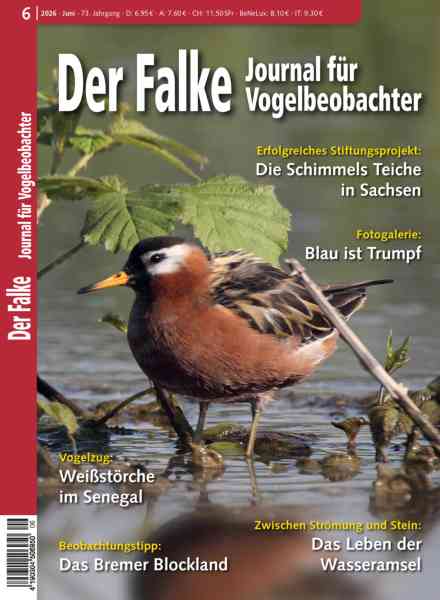 Der Falke Journal fur Vogelbeobachter – Juni 2026
